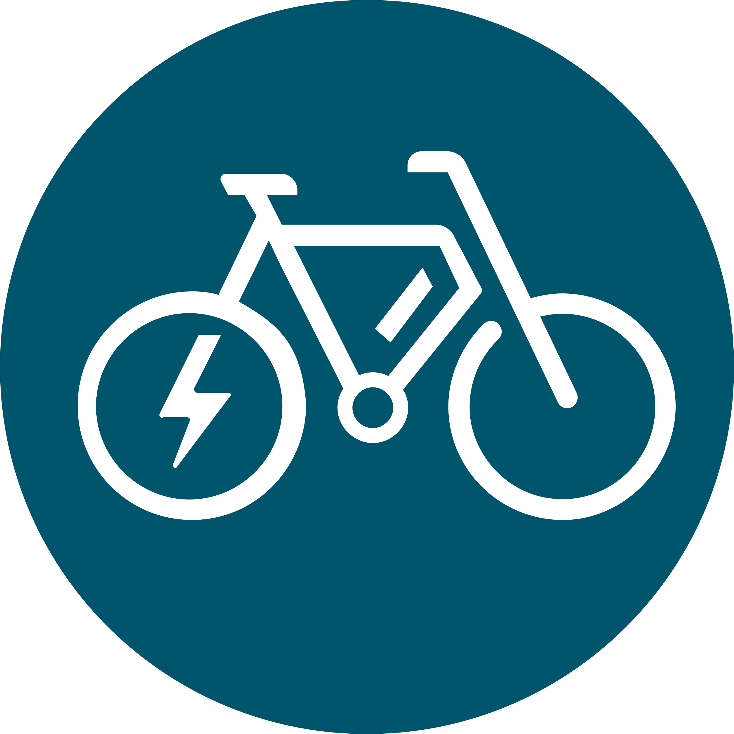 Jewel of the Creek Bikes